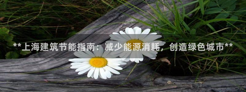 e尊国际7779：**上海建筑节能指南：减少能源消耗，创造绿色城市**