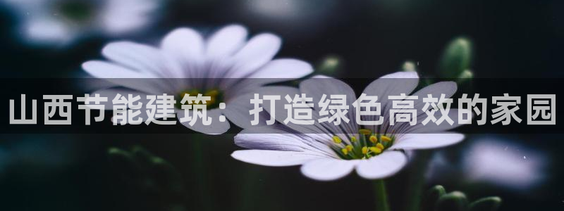 e尊国际的手机登录网站：山西节能建筑：打造绿色高效的家园