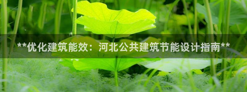 尊亿游戏国际官网：**优化建筑能效：河北公共建筑节能设计指南**