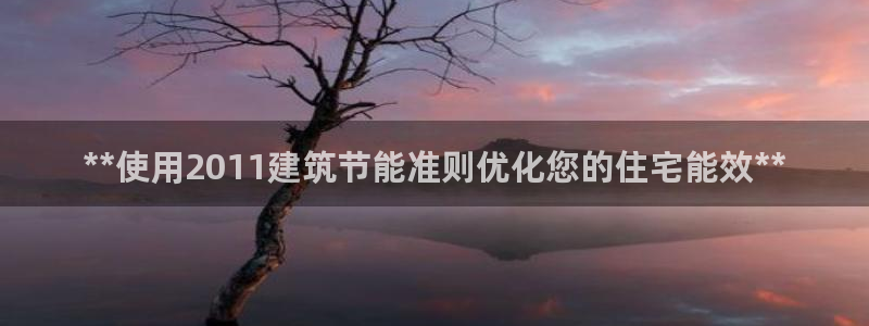 e尊国际-e尊国际官网：**使用2011建筑节能准则优化您的住宅能效**