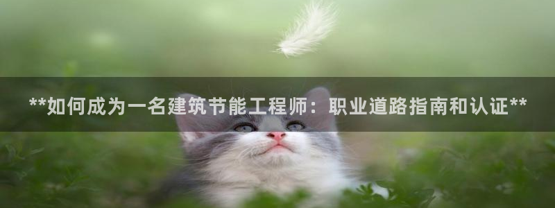 e尊国际-e尊国际官网：**如何成为一名建筑节能工程师：职业道路指南和认证**