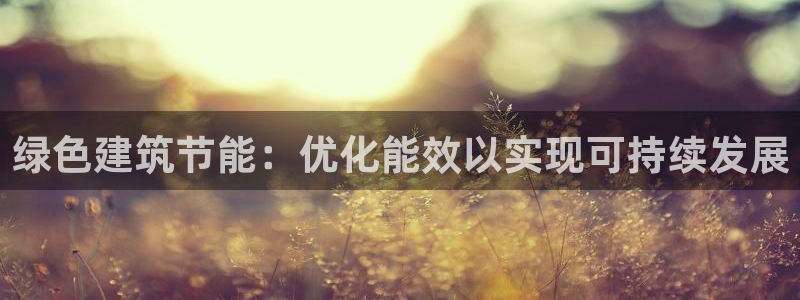 E尊国际网站：绿色建筑节能：优化能效以实现可持续发展