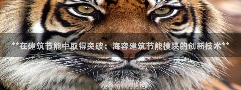 e尊国际客户端下载：**在建筑节能中取得突破：海容建筑节能模块的创新技术**