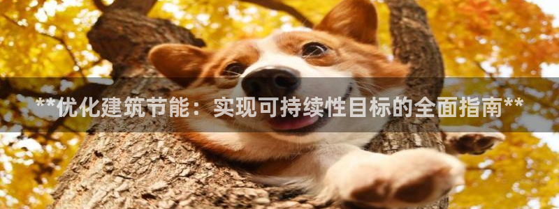 e尊国际官网app：**优化建筑节能：实现可持续性目标的全面指南**