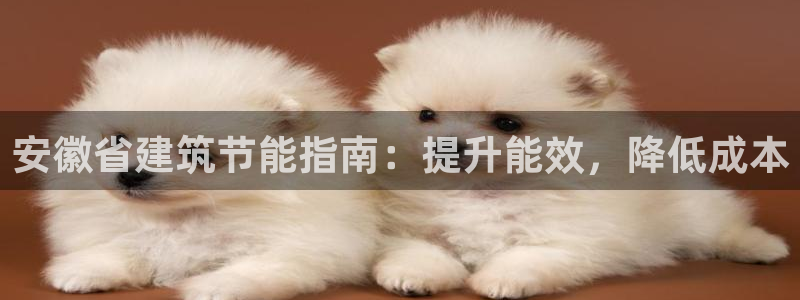 e尊国际app：安徽省建筑节能指南：提升能效，降低成本