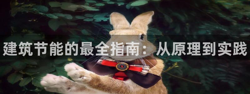 e尊国际官网·网址：建筑节能的最全指南：从原理到实践