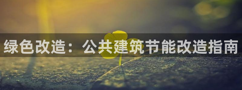 e尊国际官网：绿色改造：公共建筑节能改造指南