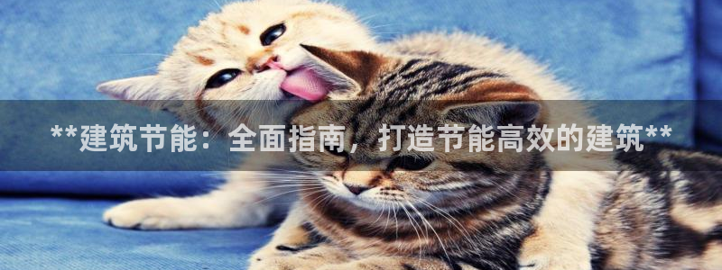 e尊国际平台：**建筑节能：全面指南，打造节能高效的建筑**