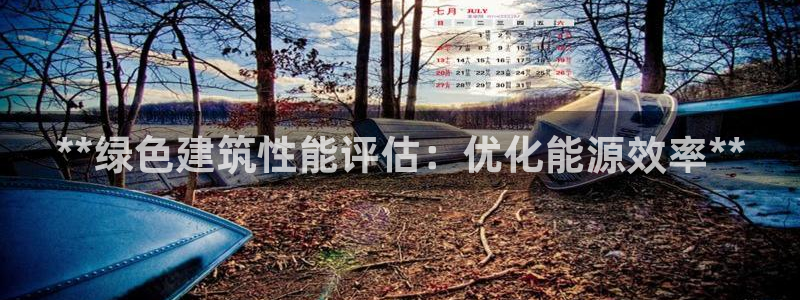 尊亿娱乐国际官网：**绿色建筑性能评估：优化能源效率**