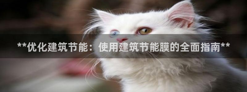 e尊国际可靠吗：**优化建筑节能：使用建筑节能膜的全面指南**