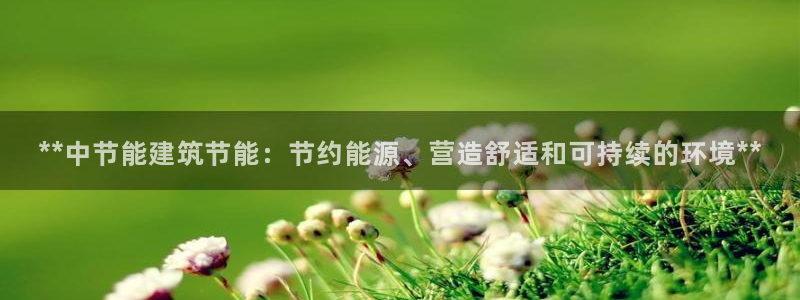 e尊国际是个黑网：**中节能建筑节能：节约能源、营造舒适和可持续的环境**