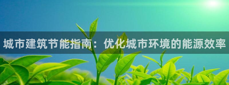 e尊国际官方网站：城市建筑节能指南：优化城市环境的能源效率