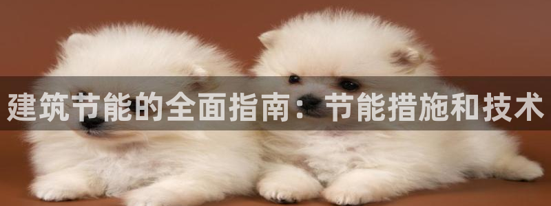 e尊国际-e尊国际官网：建筑节能的全面指南：节能措施和技术