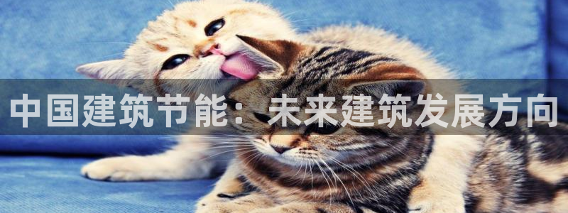 e尊国际-可可计划：中国建筑节能：未来建筑发展方向