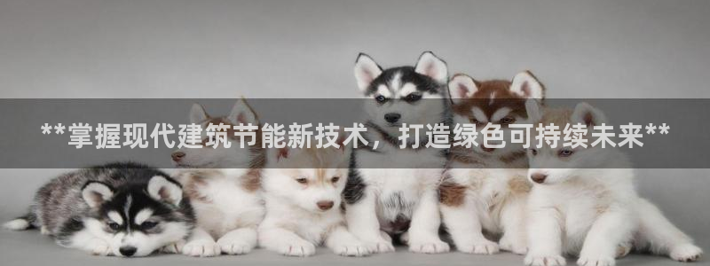 e尊国际可靠吗：**掌握现代建筑节能新技术，打造绿色可持续未来**