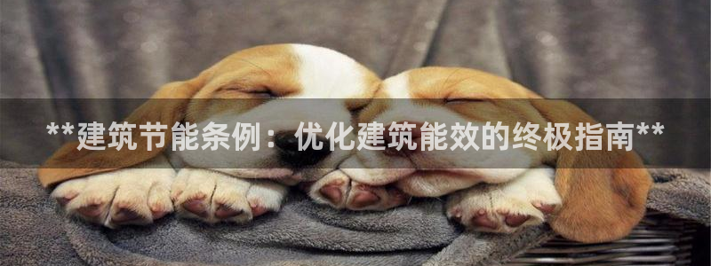 e尊国际是个黑网：**建筑节能条例：优化建筑能效的终极指南**
