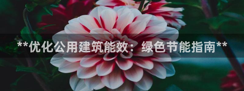 e尊国际可靠吗：**优化公用建筑能效：绿色节能指南**