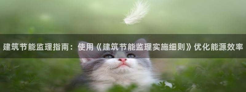 e尊平台：建筑节能监理指南：使用《建筑节能监理实施细则》优化能源效率