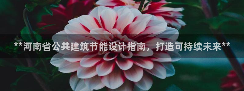 e尊电竞：**河南省公共建筑节能设计指南，打造可持续未来**