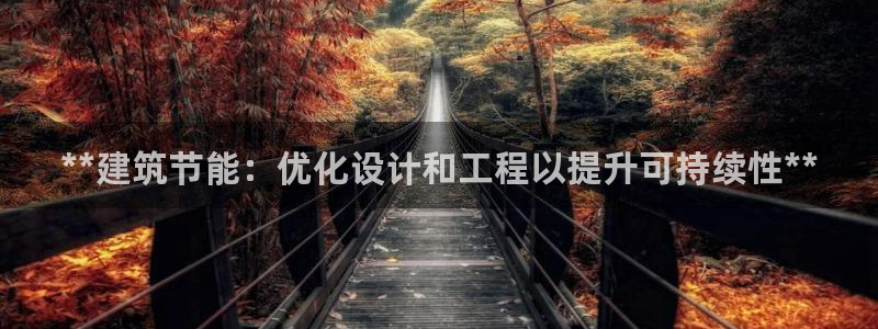 e尊国际官网：**建筑节能：优化设计和工程以提升可持续性**