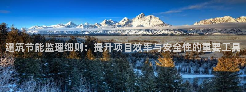 e尊国际官方网站：建筑节能监理细则：提升项目效率与安全性的重要工具