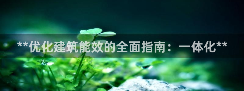 e尊电竞：**优化建筑能效的全面指南：一体化**