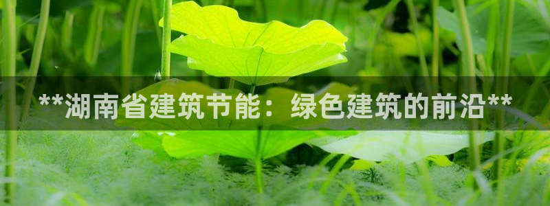 e尊国际平台：**湖南省建筑节能：绿色建筑的前沿**