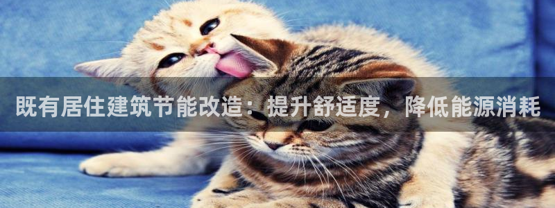 E尊国际网站：既有居住建筑节能改造：提升舒适度，降低能源消耗