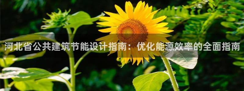 谁知道e尊国际的网址：河北省公共建筑节能设计指南：优化能源效率的全面指南