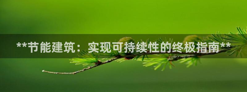 e尊体育：**节能建筑：实现可持续性的终极指南**