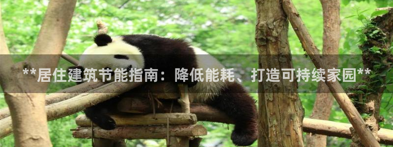 E尊国际网站：**居住建筑节能指南：降低能耗、打造可持续家园**