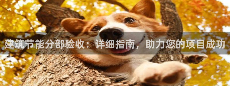 e尊国际地址：建筑节能分部验收：详细指南，助力您的项目成功