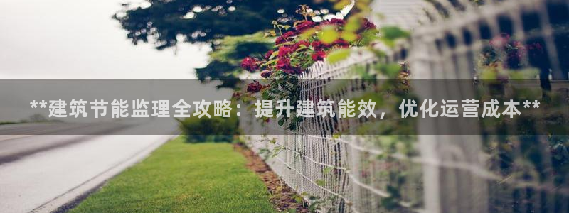 e尊国际平台：**建筑节能监理全攻略：提升建筑能效，优化运营成本**