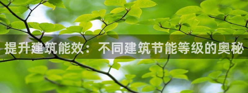 尊亿游戏国际官网：提升建筑能效：不同建筑节能等级的奥秘