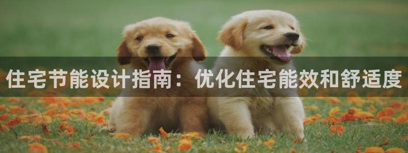 e尊电竞：住宅节能设计指南：优化住宅能效和舒适度