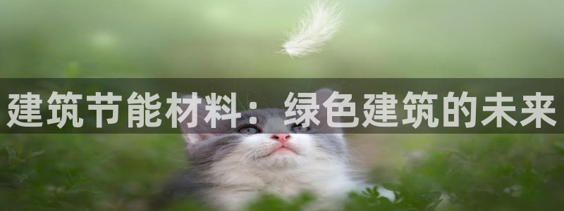 e尊国际网址：建筑节能材料：绿色建筑的未来