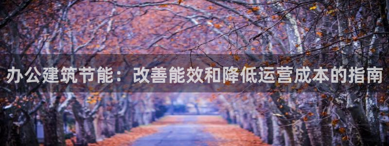 e尊国际官网：办公建筑节能：改善能效和降低运营成本的指南