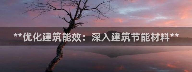 e尊国际官网·网址：**优化建筑能效：深入建筑节能材料**