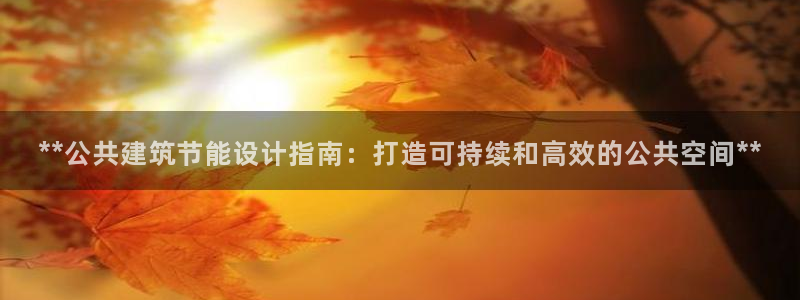 e尊国际客服：**公共建筑节能设计指南：打造可持续和高效的公共空间**