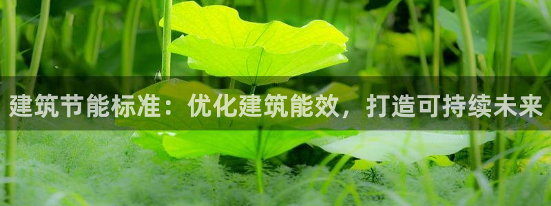 e尊国际-e尊国际官网：建筑节能标准：优化建筑能效，打造可持续未来