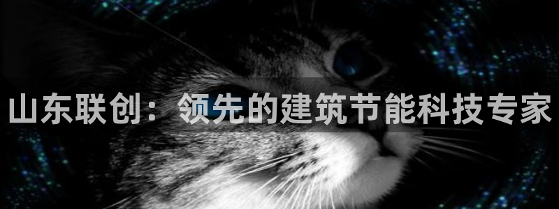 e尊国际客户端：山东联创：领先的建筑节能科技专家