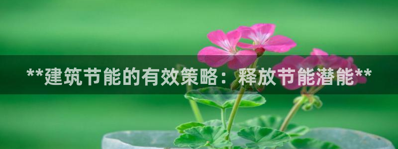 e尊国际平台：**建筑节能的有效策略：释放节能潜能**