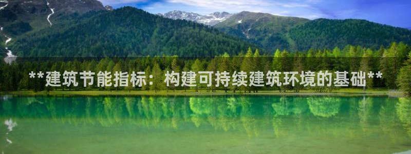 E尊国际网站：**建筑节能指标：构建可持续建筑环境的基础**