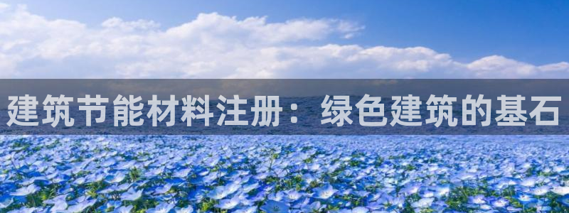 e尊国际娱乐官网地址：建筑节能材料注册：绿色建筑的基石
