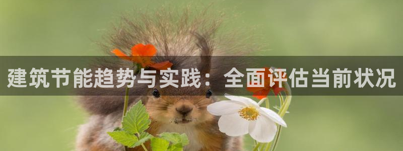 谁知道e尊国际的网址：建筑节能趋势与实践：全面评估当前状况