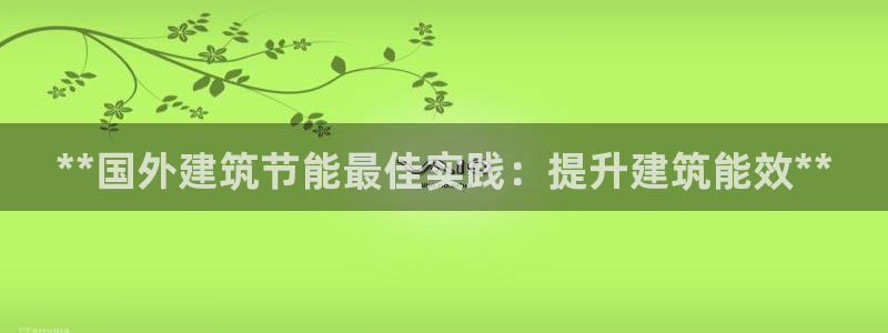 e尊国际是干什么的：**国外建筑节能最佳实践：提升建筑能效**