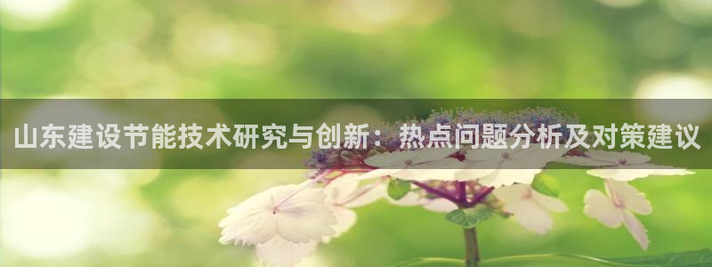e尊电竞：山东建设节能技术研究与创新：热点问题分析及对策建议