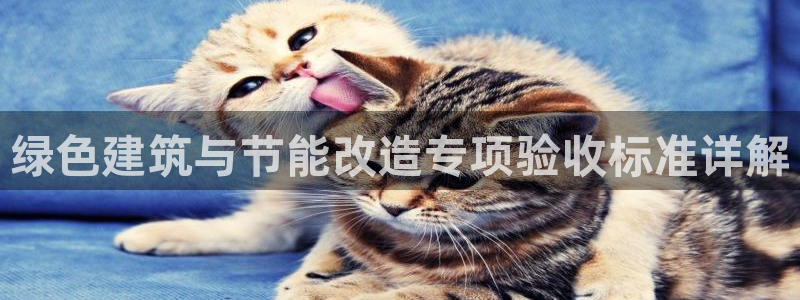 e尊国际官方网站：绿色建筑与节能改造专项验收标准详解