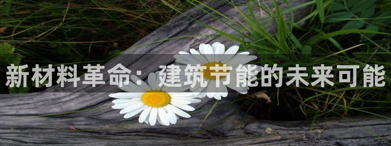 e尊国际的手机登录网站：新材料革命：建筑节能的未来可能