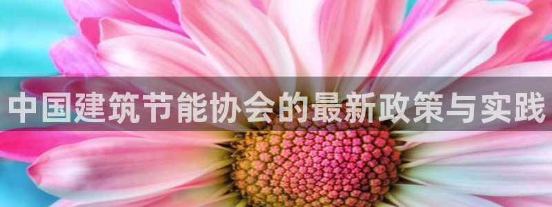 e尊国际官网：中国建筑节能协会的最新政策与实践